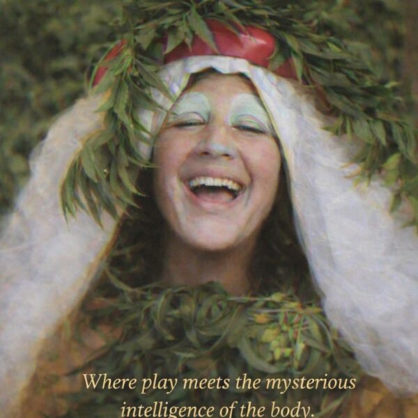 Flyer Visionary clown